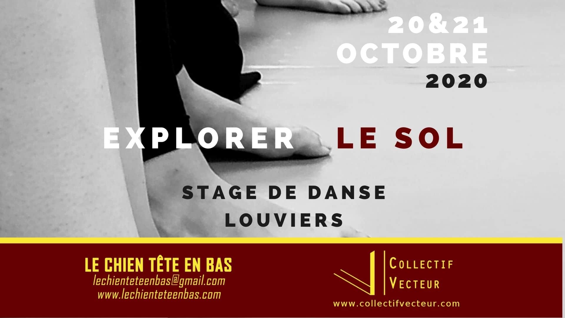 événement atelier stage danse remous SOL lechienteteenbas Louviers