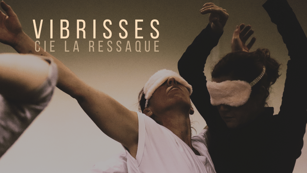 vibrisses création danse_inclusivité_handicap_éloge du vivant